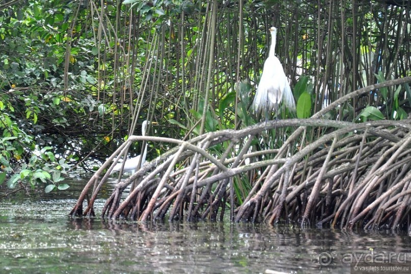 Гватемальский калейдоскоп