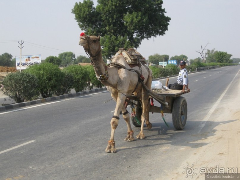 По дороге в Джайпур