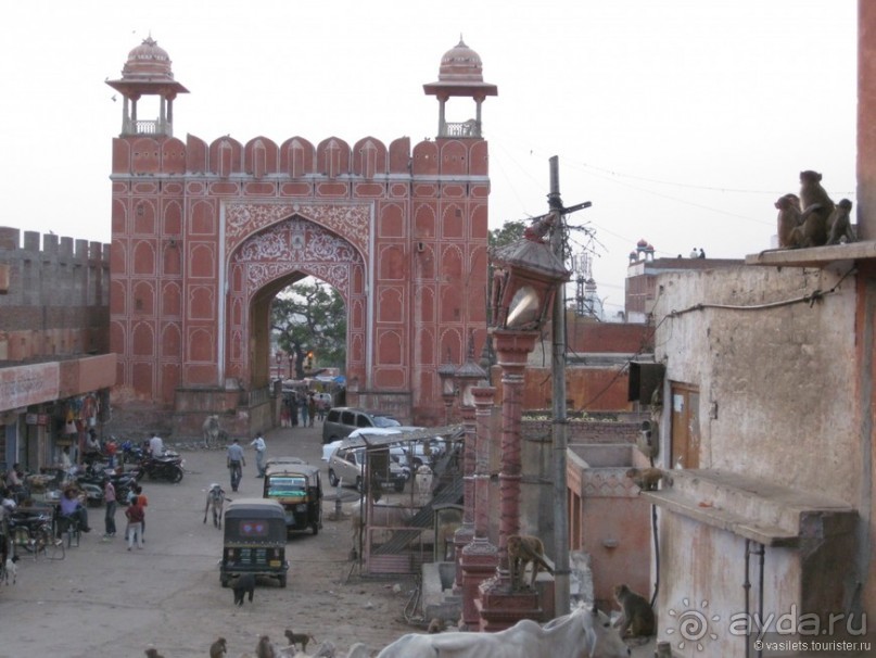 По дороге в Джайпур