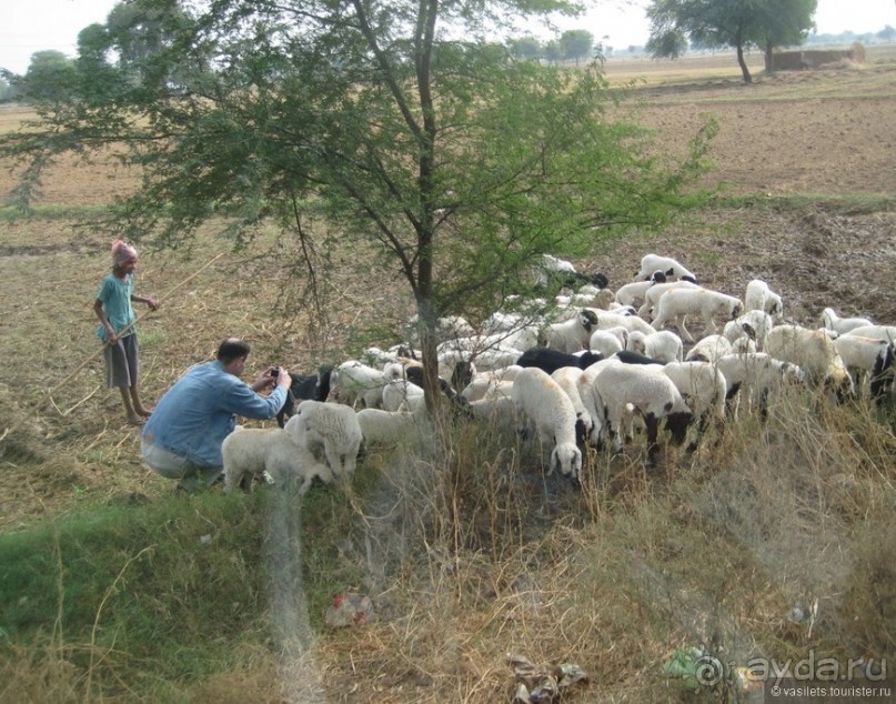 По дороге в Джайпур