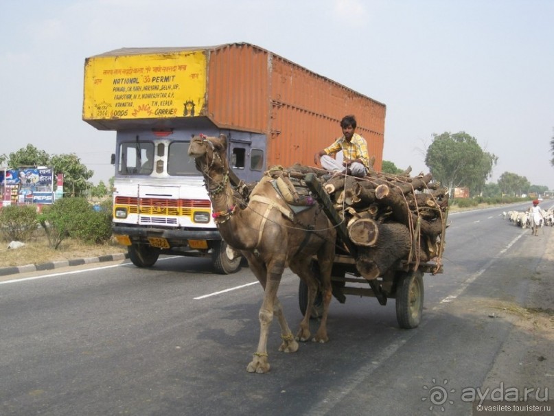 По дороге в Джайпур