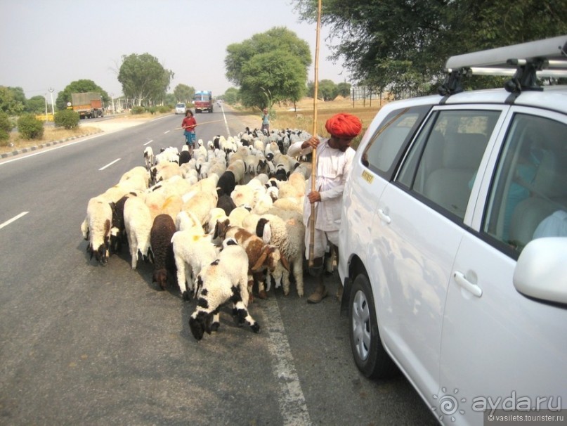 По дороге в Джайпур