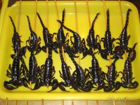 Китай - империя в тумане