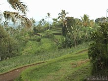 А на Бали опять идут дожди (часть 2)