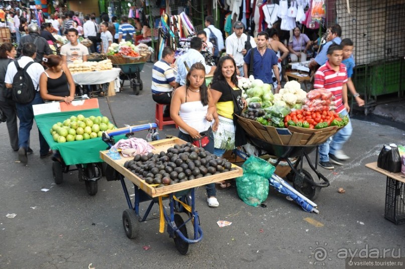 Альбом отзыва "В Сальвадор под конвоем"