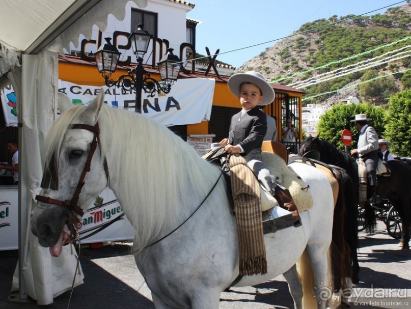 Михас - лошадиный белый город