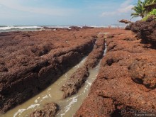 Гоа пляжный, расслабляющий