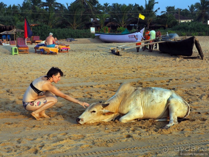 Гоа пляжный, расслабляющий