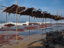 Гоа пляжный, расслабляющий