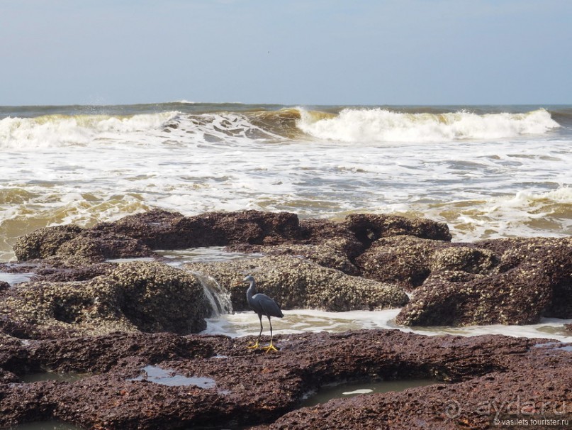 Гоа пляжный, расслабляющий