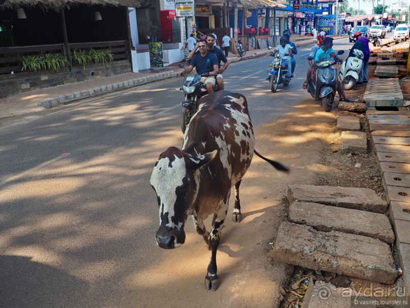 Гоа пляжный, расслабляющий