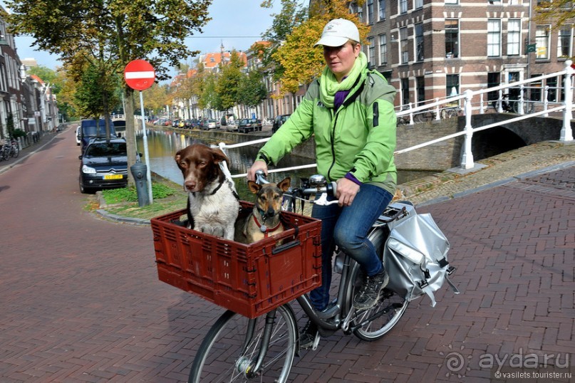 Делфт сверху и снизу