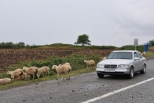 Азербайджанские фото-мгновения