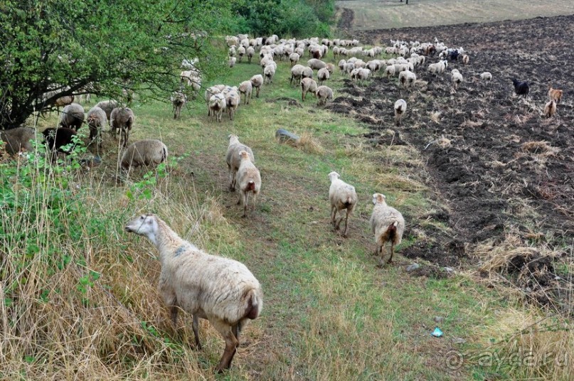 Азербайджанские фото-мгновения