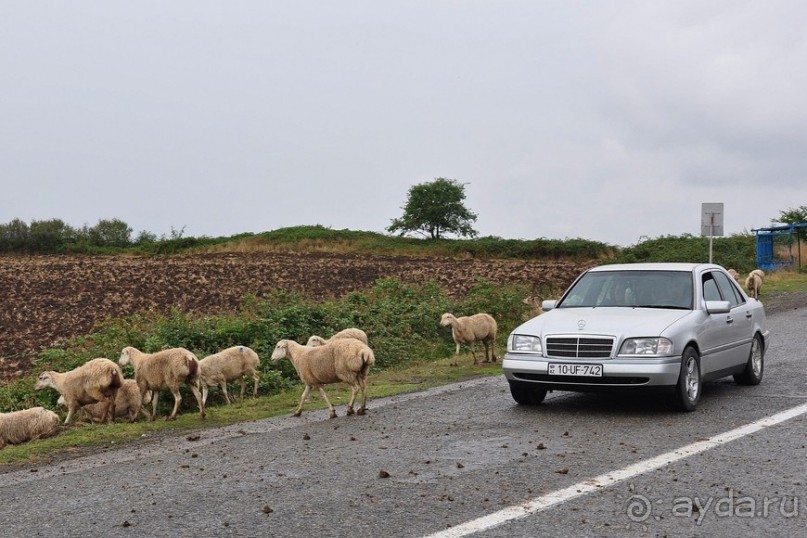Азербайджанские фото-мгновения