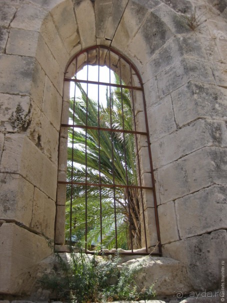 Альбом отзыва "Горькие лимоны Северного Кипра. Беллопаис"