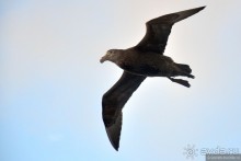 Ушуайя — почти конец света