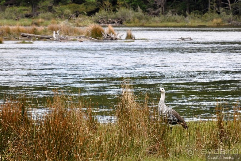 Ушуайя — почти конец света
