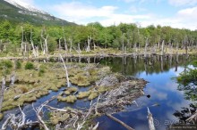 Ушуайя — почти конец света