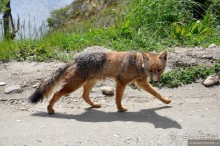 Ушуайя — почти конец света