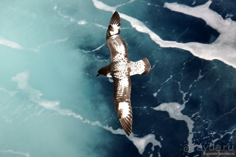 Ушуайя — почти конец света