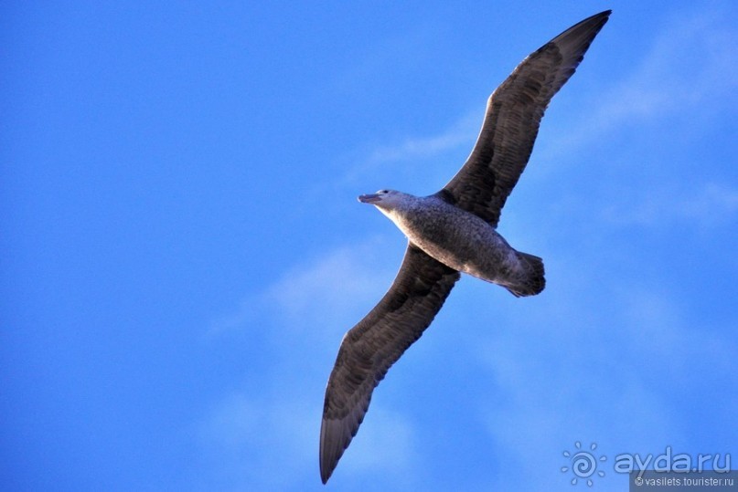 Ушуайя — почти конец света