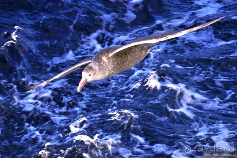 Ушуайя — почти конец света