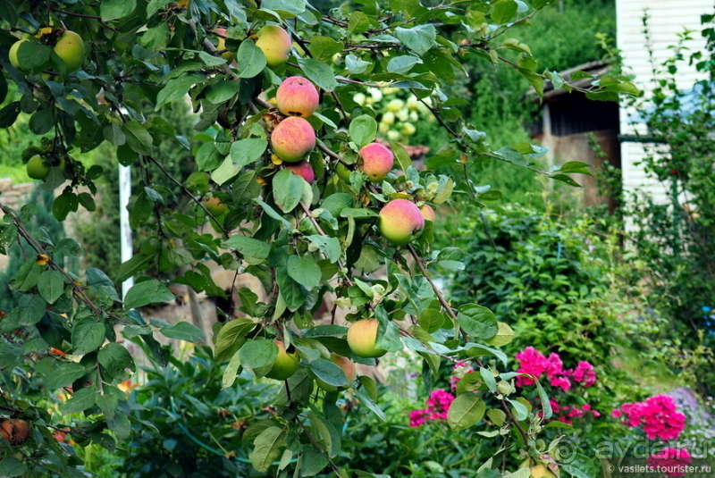 Александров и Иван Грозный. Какая связь?