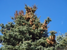 Александров и Иван Грозный. Какая связь?