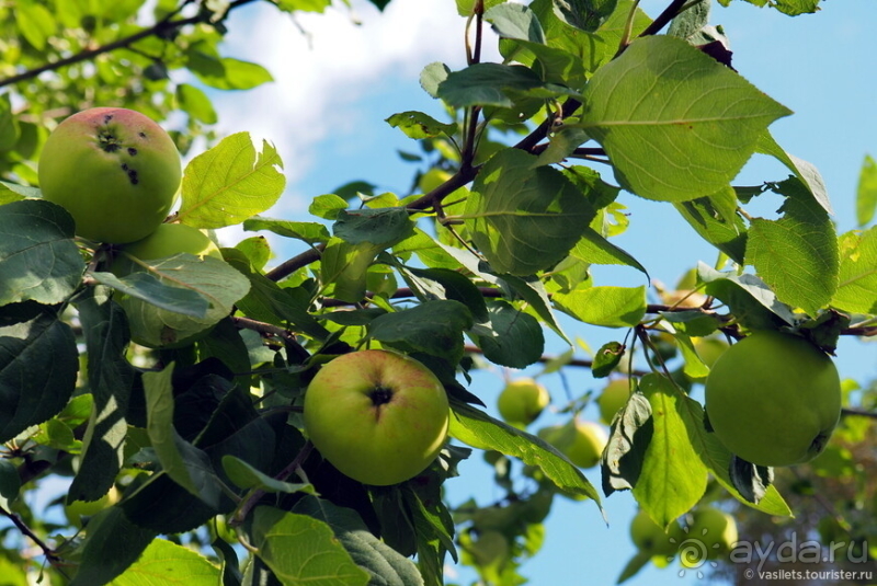 Александров и Иван Грозный. Какая связь?