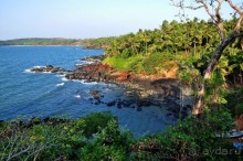 Вокруг, да около Гоа...