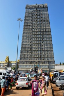 Вокруг, да около Гоа...