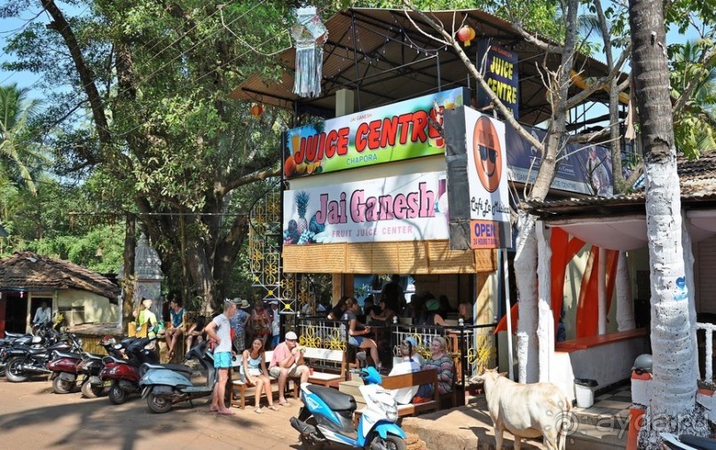 Вокруг, да около Гоа...