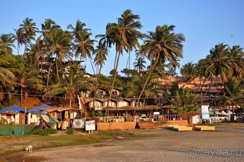 Вокруг, да около Гоа...