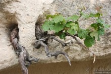 Скалистые чудеса Каппадокии (часть 1)