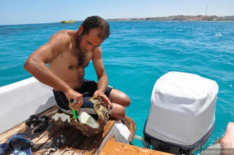 Альбом отзыва "Луксор-Хургада 2013"