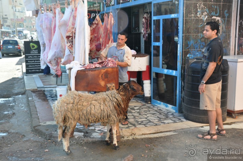 Альбом отзыва "Луксор-Хургада 2013"