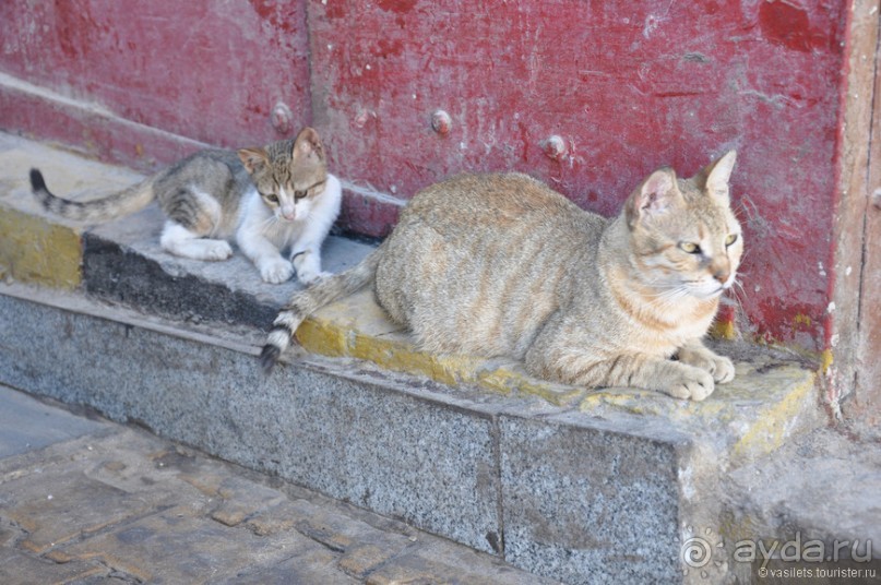 Луксор-Хургада 2013