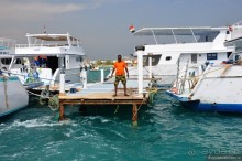 Египет. За неделю до...