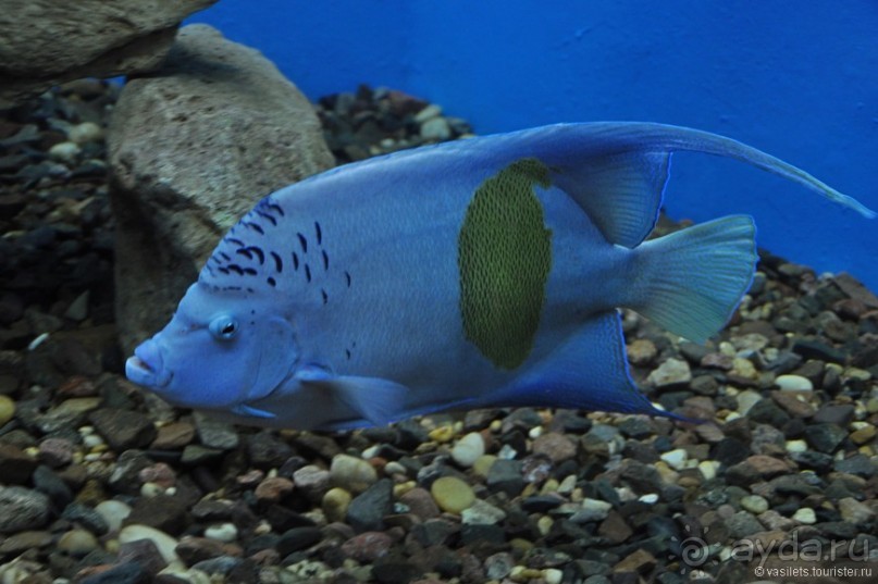 Египет. За неделю до...