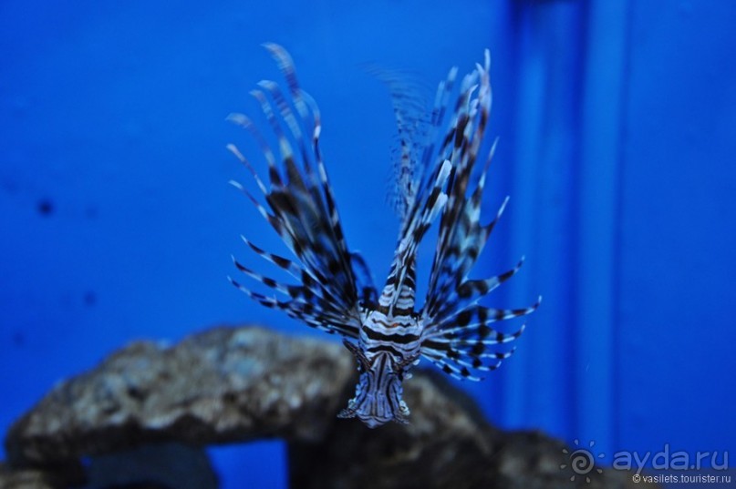 Египет. За неделю до...