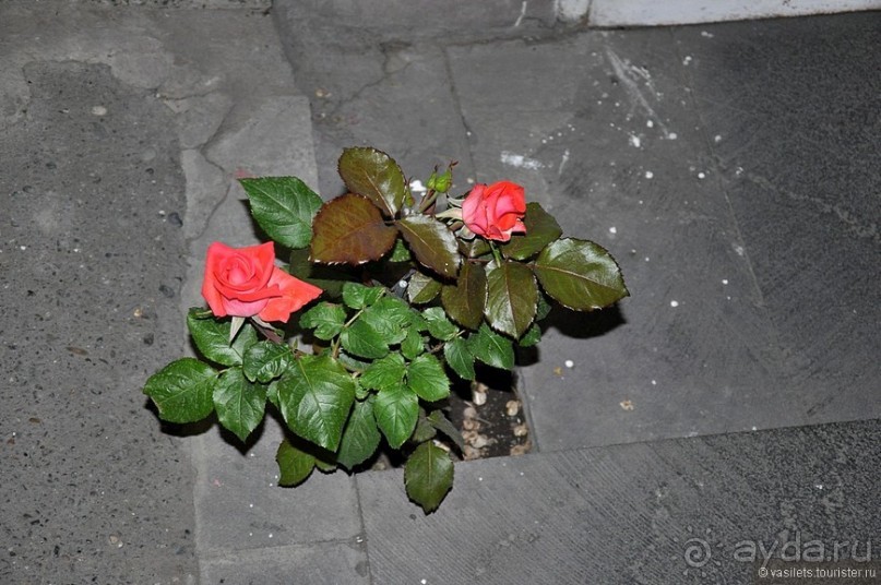 Майский Ереван