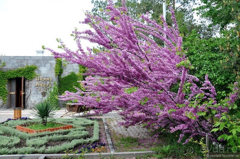 Майский Ереван