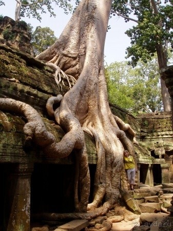 Пешком в Камбоджу