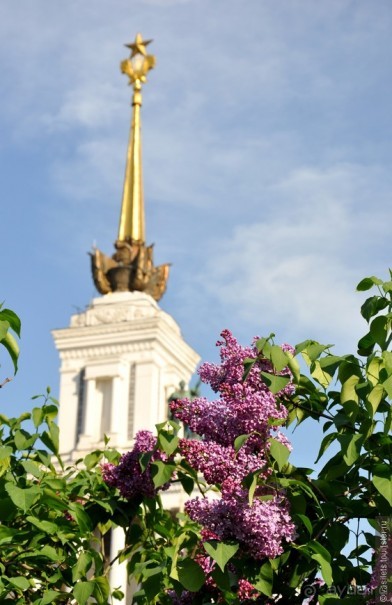 ВВЦ-ВДНХ. Почти летный день