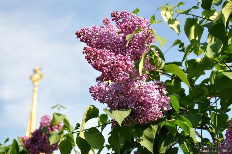 ВВЦ-ВДНХ. Почти летный день