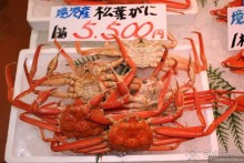 Случайно в Японии встретить гейшу