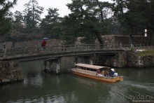 Случайно в Японии встретить гейшу