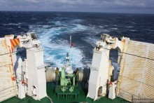 Случайно в Японии встретить гейшу