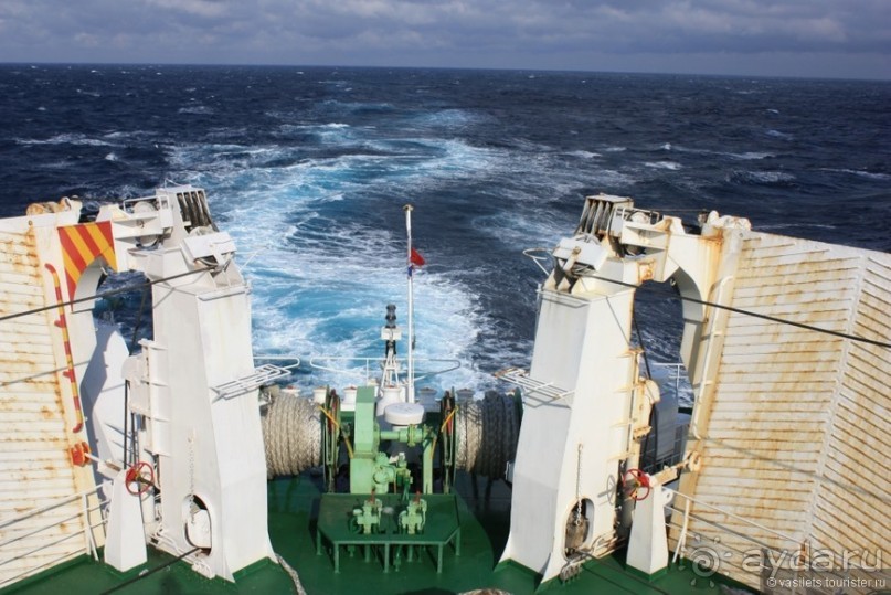 Случайно в Японии встретить гейшу